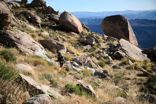 The long, pounding descent to the base of San Jacinto