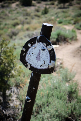 A shot up sign just before Big Bear