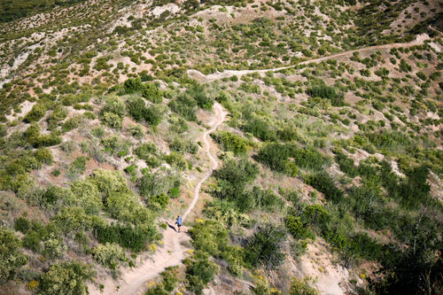 Following Willow on an endless climb