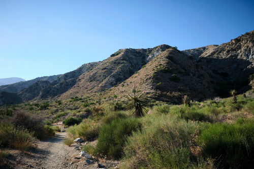 Entering San Gorgonio