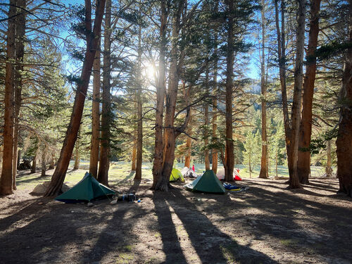 Base camp at Crabtree Meadow