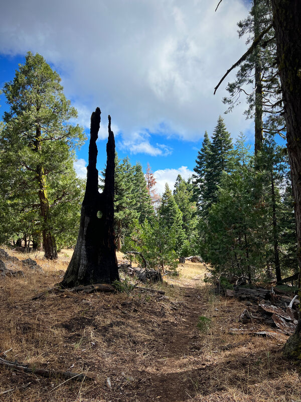 Barad-dûr, just casually hanging out in Oregon