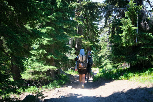 Following Magma and Shapes out of Timberline Lodge