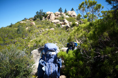 Starting the climb up San Jacinto