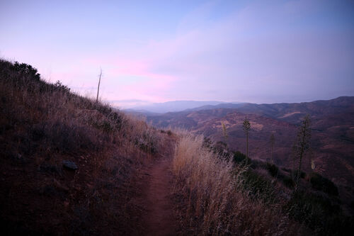 Love the early morning light