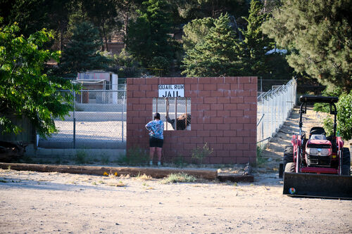 The local jail at the ostrich farm