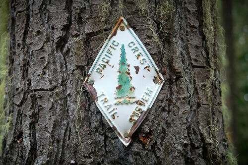 My favorite PCT emblem, on my second to last day