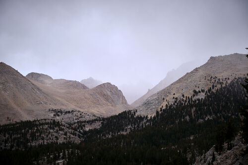 A cold fog rolling in