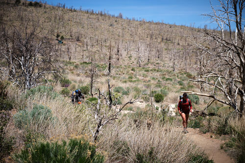 Giggles, Ant Man, and Willow heading towards San Bernadino