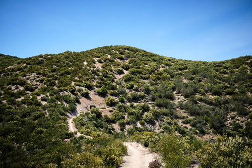 Beginning the climb up Cajon Pass