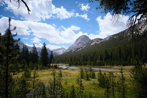 Entering Evolution Basin