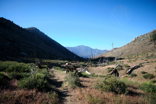 The transition between the desert and the Sierras